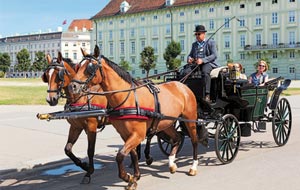 Kutschenführerschein A